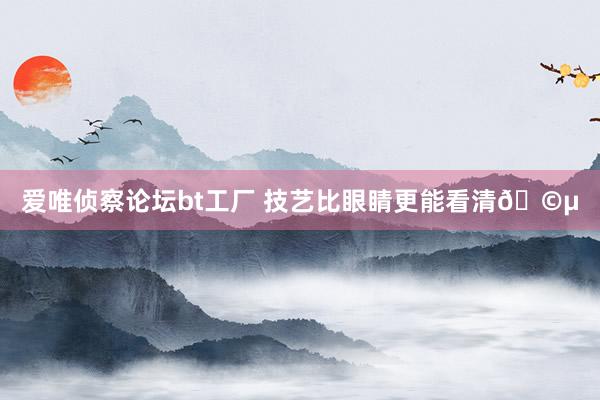 爱唯侦察论坛bt工厂 技艺比眼睛更能看清?