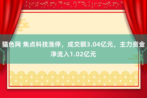 猫色网 焦点科技涨停，成交额3.04亿元，主力资金净流入1.02亿元