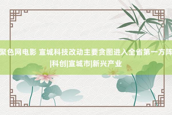 聚色网电影 宣城科技改动主要贪图进入全省第一方阵|科创|宣城市|新兴产业