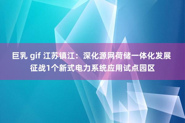巨乳 gif 江苏镇江：深化源网荷储一体化发展 征战1个新式电力系统应用试点园区