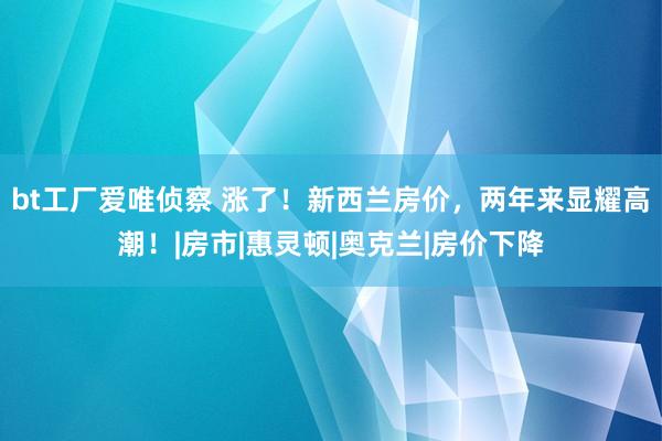bt工厂爱唯侦察 涨了！新西兰房价，两年来显耀高潮！|房市|惠灵顿|奥克兰|房价下降