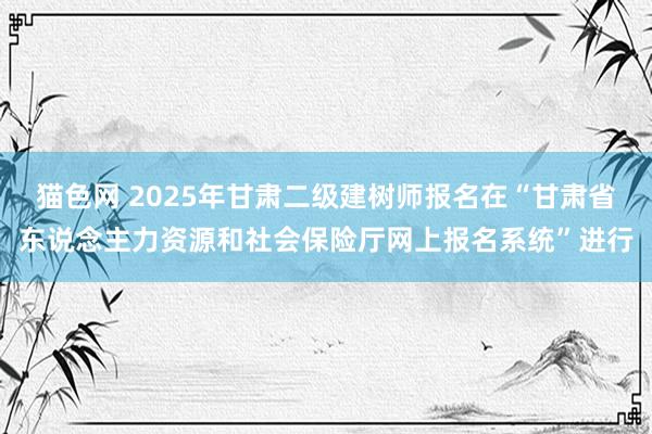 猫色网 2025年甘肃二级建树师报名在“甘肃省东说念主力资源和社会保险厅网上报名系统”进行