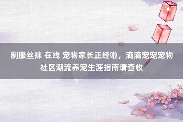 制服丝袜 在线 宠物家长正经啦，滳滴宠宠宠物社区潮流养宠生涯指南请查收