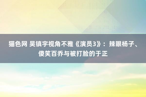 猫色网 吴镇宇视角不雅《演员3》：辣眼杨子、傻笑百乔与被打脸的于正