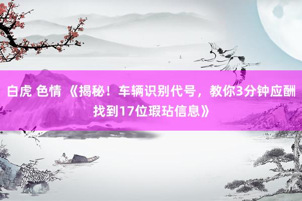 白虎 色情 《揭秘！车辆识别代号，教你3分钟应酬找到17位瑕玷信息》