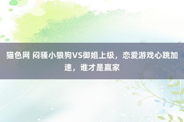 猫色网 闷骚小狼狗VS御姐上级，恋爱游戏心跳加速，谁才是赢家
