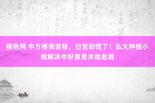 猫色网 中方格调坚韧，白宫却慌了！弘大种植小组解决中好意思关税危境