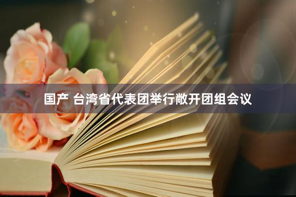 国产 台湾省代表团举行敞开团组会议