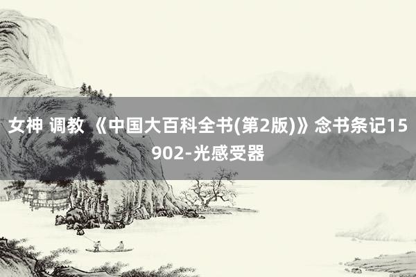 女神 调教 《中国大百科全书(第2版)》念书条记15902-光感受器