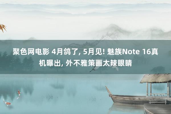 聚色网电影 4月鸽了， 5月见! 魅族Note 16真机曝出， 外不雅策画太辣眼睛