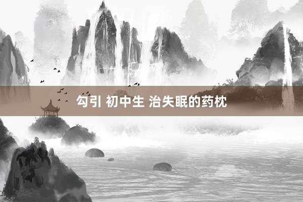 勾引 初中生 治失眠的药枕